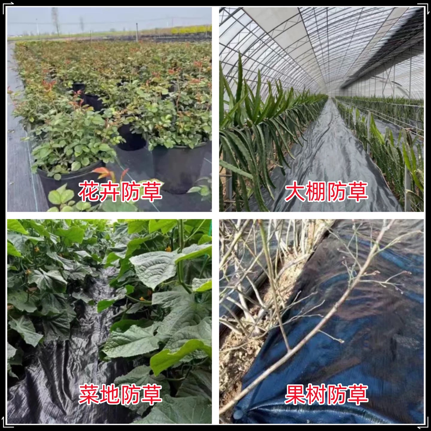 崇左市塑料薄膜防草布 - 推荐
