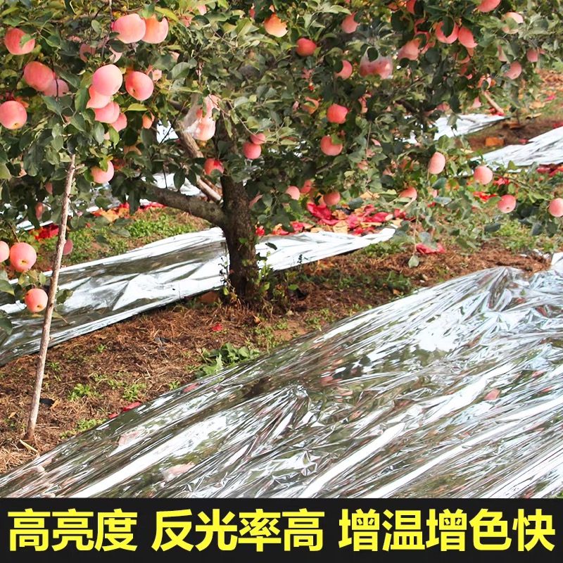 崇左市大棚膜果树反光膜 - 厂家